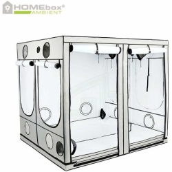Homebox Ambient Q240