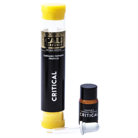 Cali Terpenes - Critical