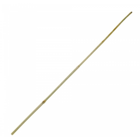 Bamboo stick