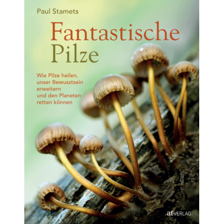 Fantastische Pilze