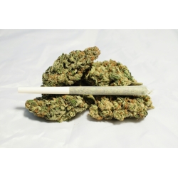 Holy Shit - Des joints de cannabis roulés