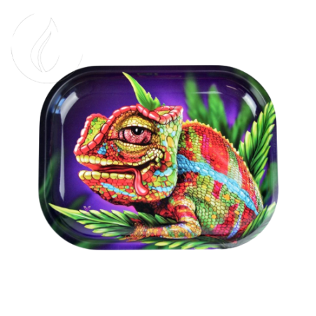 Chameleon Mini Tray