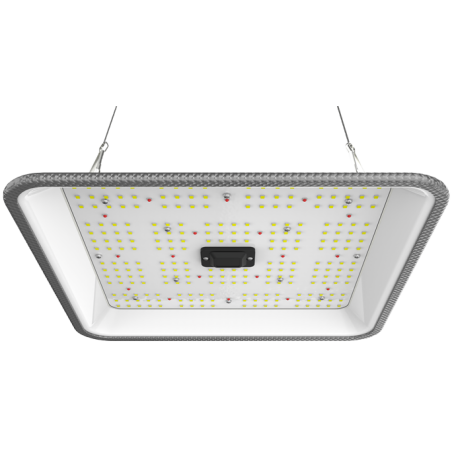 LED Grow Leuchte, 60W