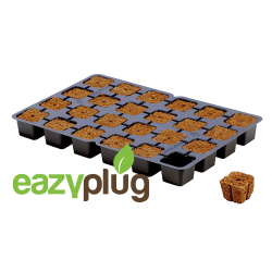 Eazy Plug Cubes de Propagation CT24, 24pcs