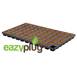 Eazy Plug Cubes de propagation CT77, 77pcs
