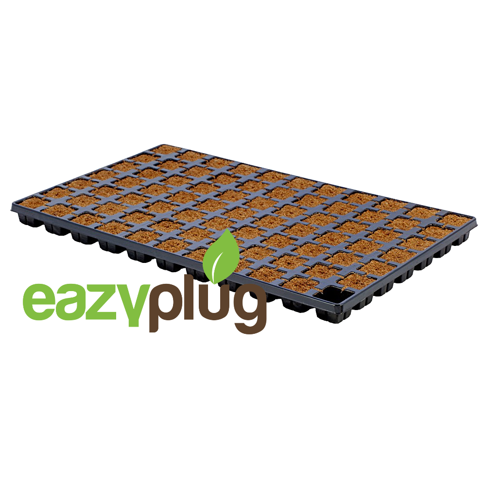 Eazy Plug Cubes de propagation CT77, 77pcs