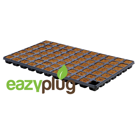 Eazy Plug Propagation cubes CT77, 77pcs