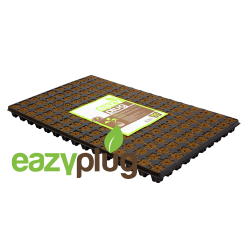 Eazy Plug Propagation Cubes CT150, 150pcs