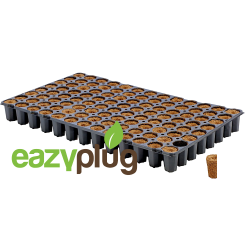 Eazy Plug Propagation cubes CT104C, 104pcs