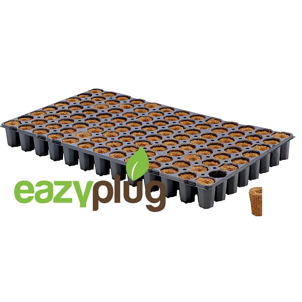 Eazy Plug Cubes de propagation CT104C, 104pcs