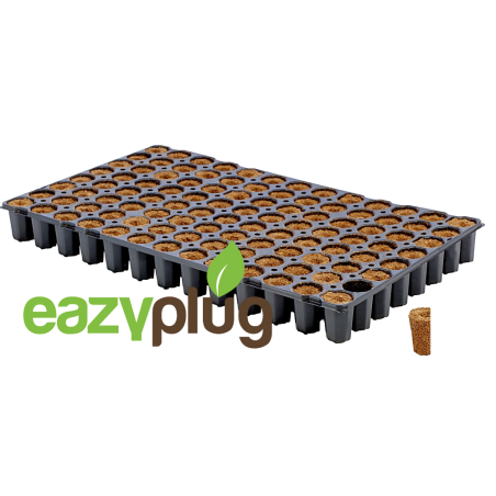 Eazy Plug Cubes de propagation CT104C, 104pcs