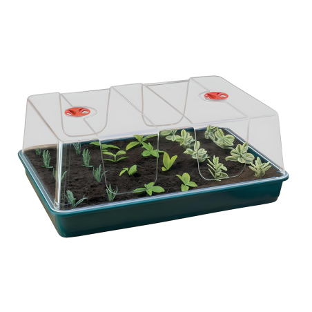 Garland XL High Dome Propagator, 58x40x22.5cm