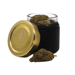 GANJAR XS – The exclusive mini container