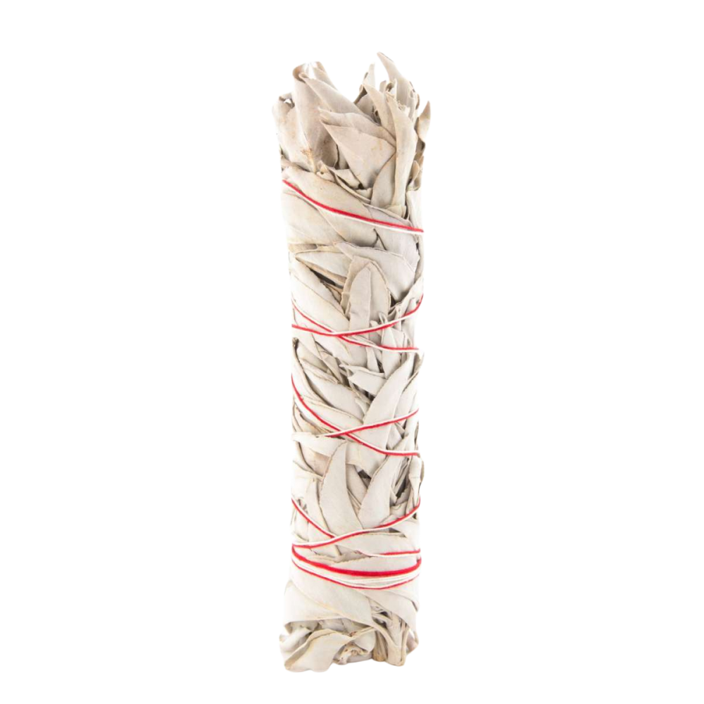 Bâton de sauge blanche