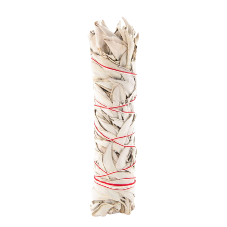 Weißer Salbei Smudge Stick