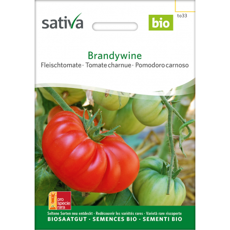 Brandywine –  Fleischtomate Bio