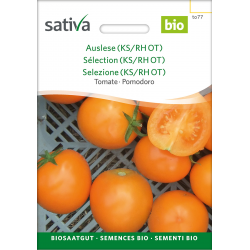 Sativa Auslese (KS/RH OT) - Tomate Bio