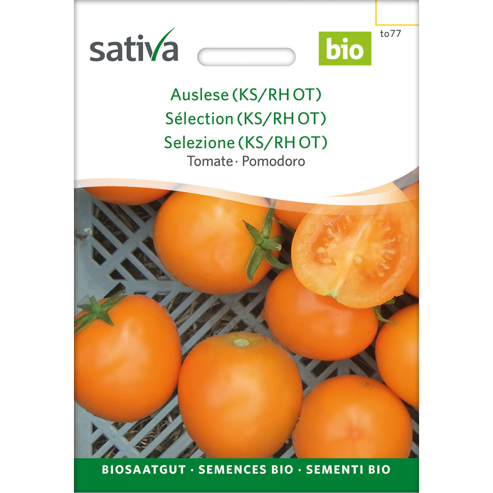 Sativa Auslese (KS/RH OT) – organic tomato