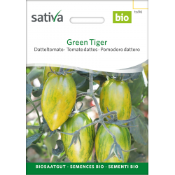 Sativa Green Tiger – Organic Date Tomato