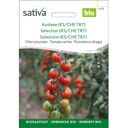 Sativa Tiamarie – Tomate cerise bio