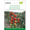 Sativa Tiamarie – Organic cherry tomato