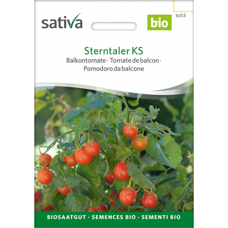 Sativa Sterntaler KS – Cherrytomate Bio