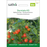 Sativa Sterntaler KS – Cherrytomate Bio