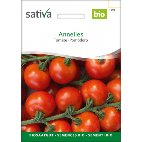Sativa Anneli – Organic tomato