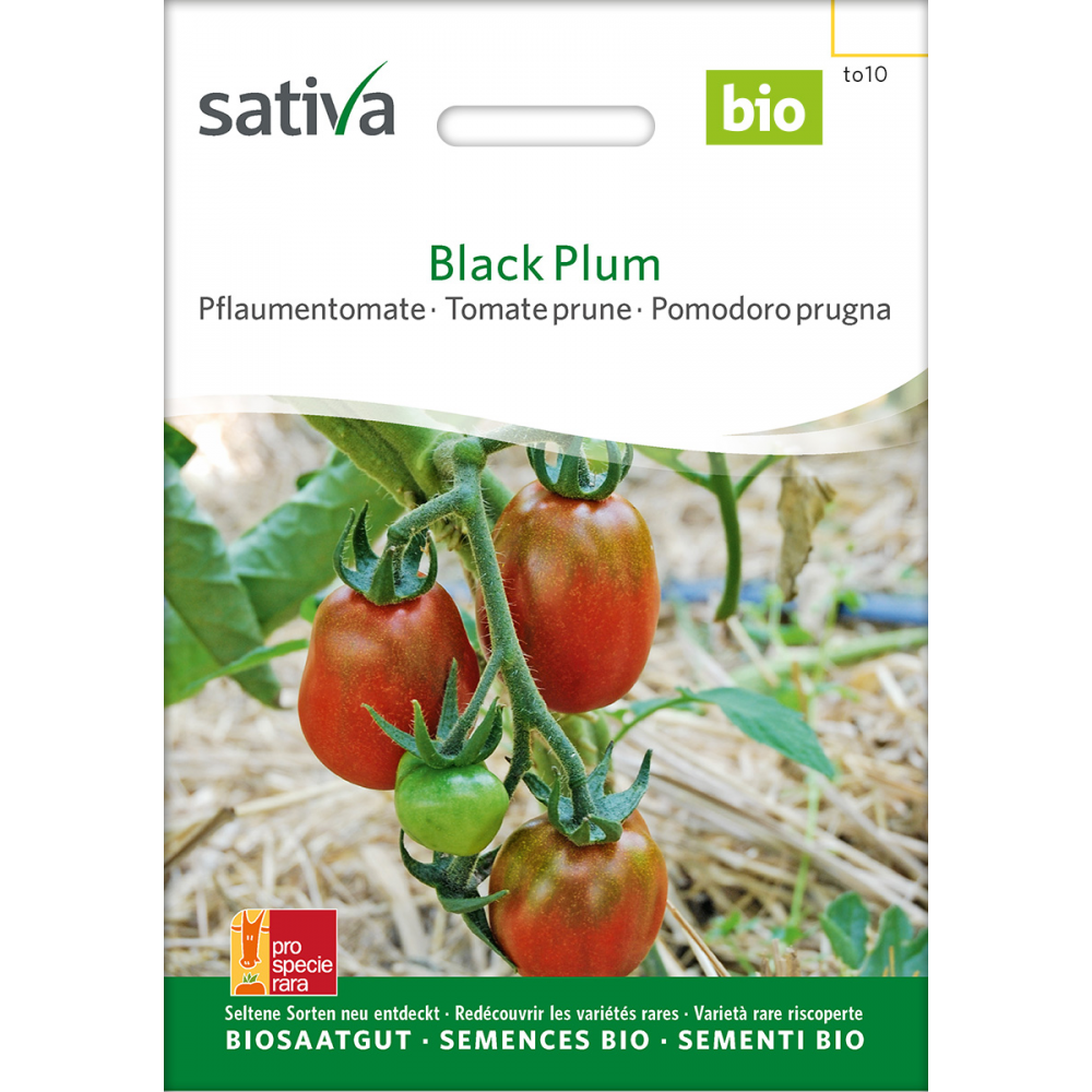 Sativa Black Plum –  Pflaumentomate Bio