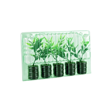 Transparent transport box for 5 cuttings