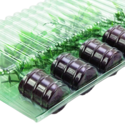 Transparent transport box for 5 cuttings