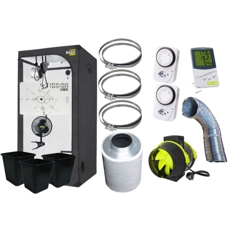 3 Plants Savings Set (80x80)