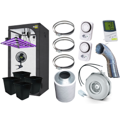 4 Plants Savings Set (100x100)