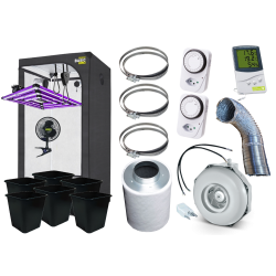 6 Plants Savings Set (120x120)