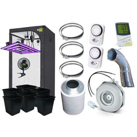 6 Plants Savings Set (120x120)