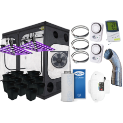 12 Plants Savings Set (120x240)