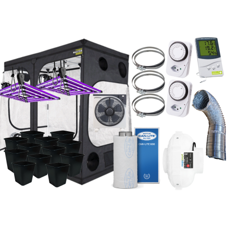 12 Plants Savings Set (120x240)