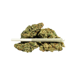 Holy Shit - Des joints de cannabis roulés