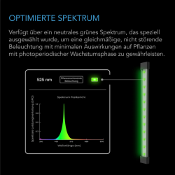 AC Infinity IONBEAM Grün