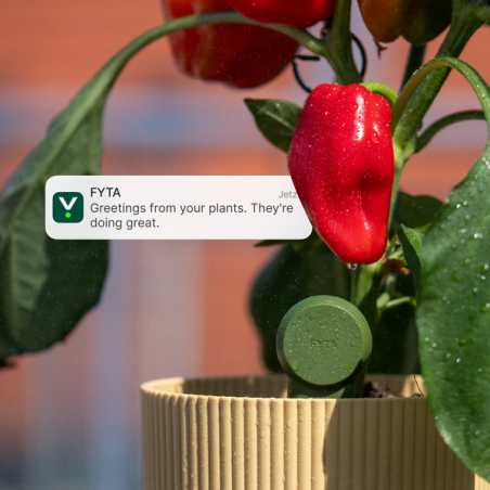 FYTA 2.0 Grow Set kaufen