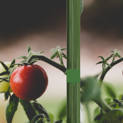 AC Infinity Green wire ties with integrated cutter, 100 m