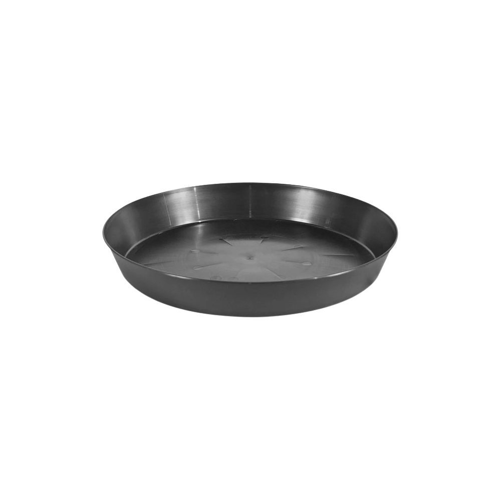 Pasquini Untersetzer rund, 35cm