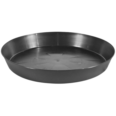 Pasquini Untersetzer rund, 35cm