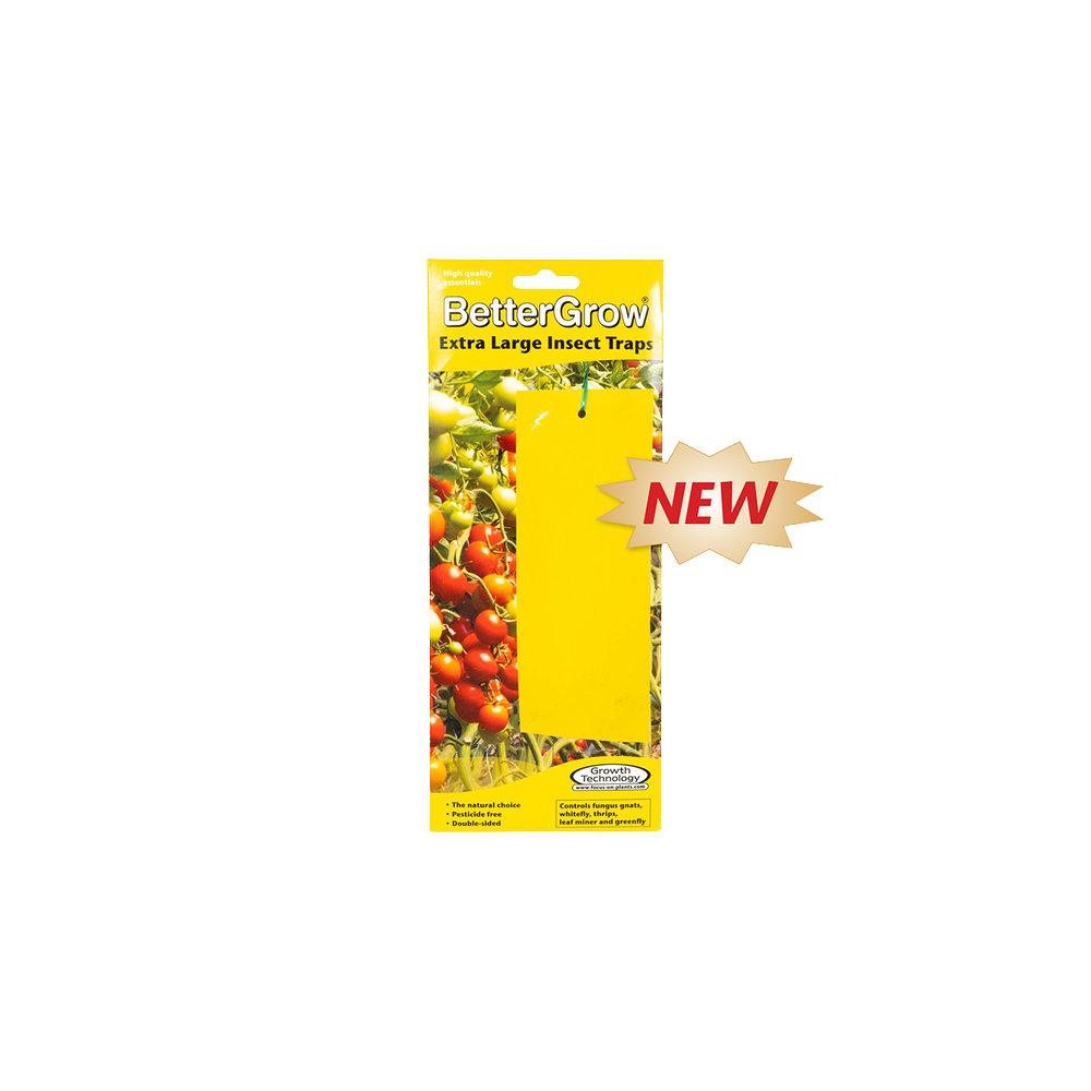 Growth Technology Yellow Sticky Traps (Rectangular) – 10 pcs.