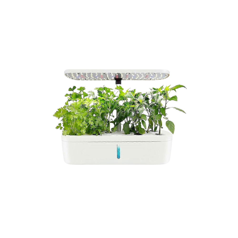 HTP Cuisine Garden Mini