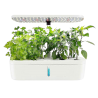 HTP Cuisine Garden Mini