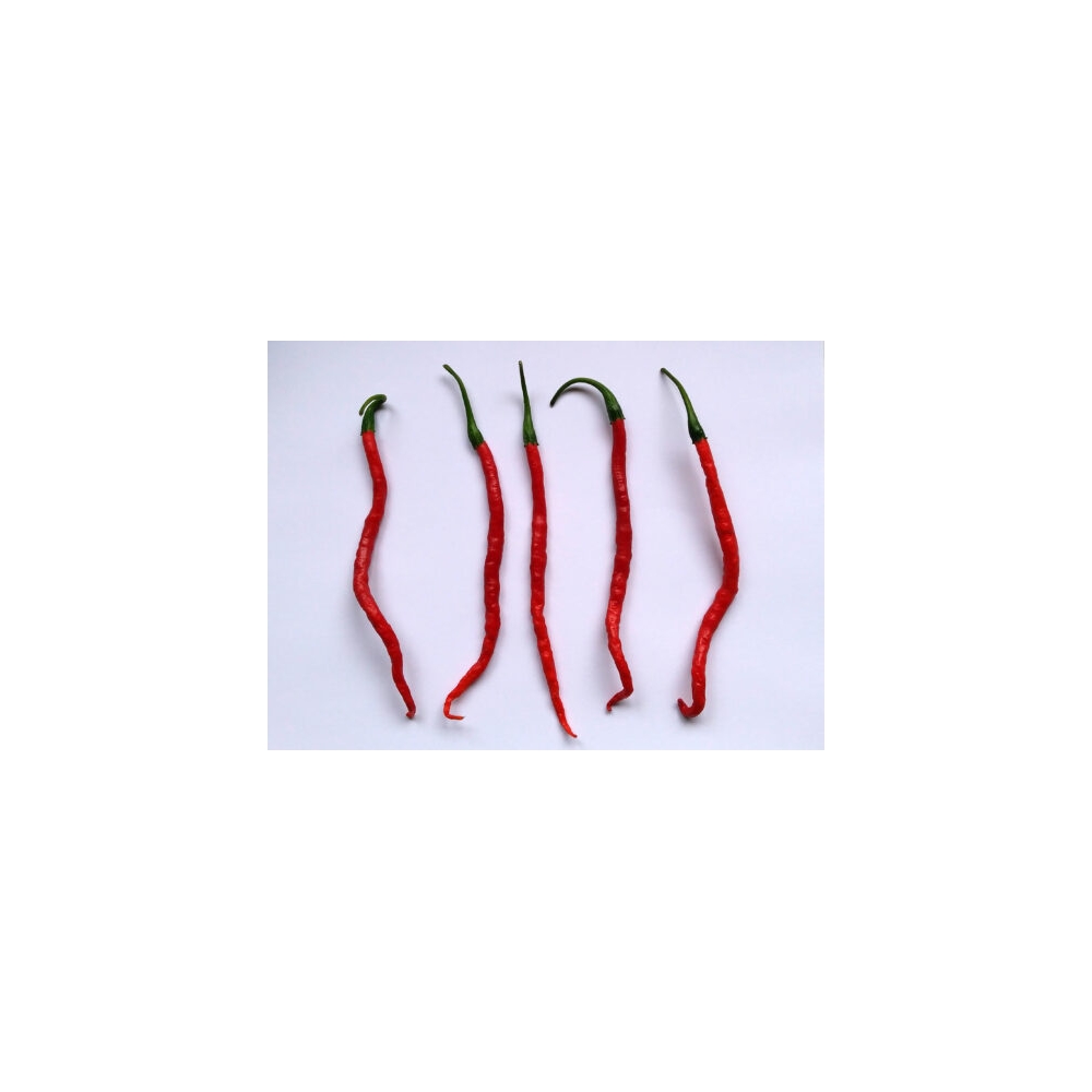 Greendoor Cabe Keriting – Graines de piment