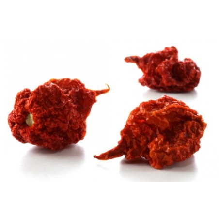 Greendoor Carolina Reaper Red – Chili Seeds