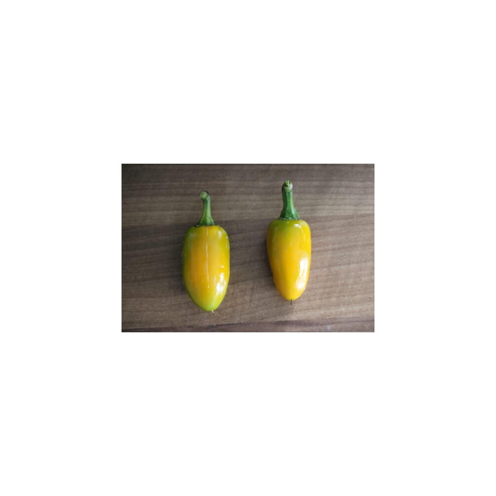 Greendoor Jalapeño Yellow – Graines de piment