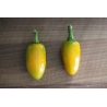 Greendoor Jalapeño Yellow – Graines de piment